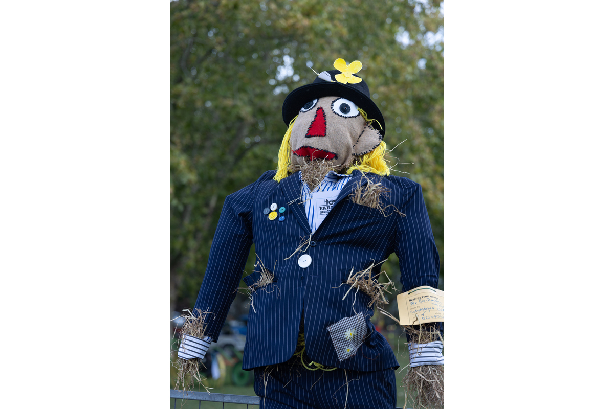 Award winning scarecrow