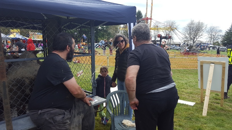 Woodfest 2019 photo 17